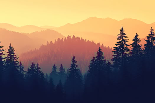 Majestic pine tree silhouettes layer across golden mountain range during warm atmospheric sunset photo