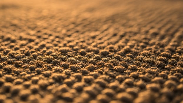 A close up of a carpet with small brown dots photo