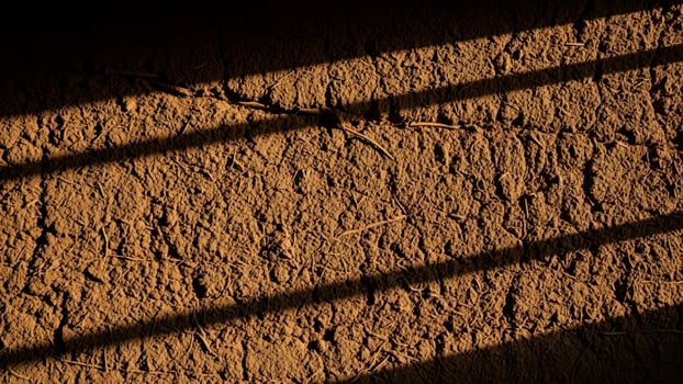 A wall with shadows of a tree and a fence photo