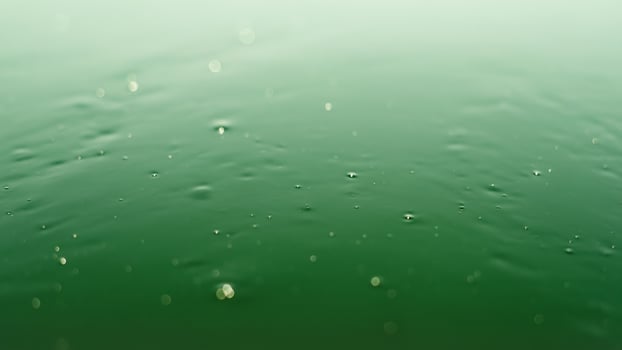 Raindrops on a green background photo