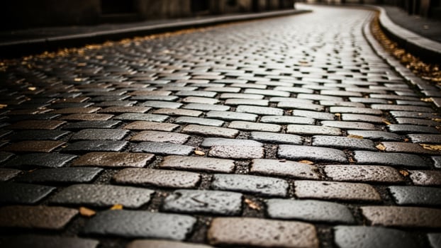 A cobblestone street in the city with a wet sidewalk photo