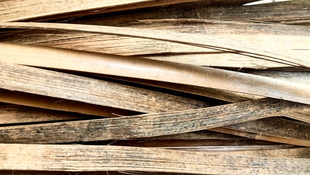 close up of bamboo sticks photo, wood texture, bamboo fiber photo
