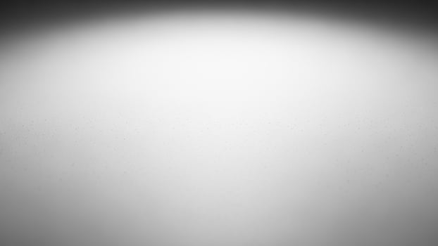 Black and white photo of a person standing in front of a light