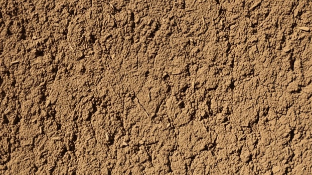 A brown wall with dirt and dirt on it. photo