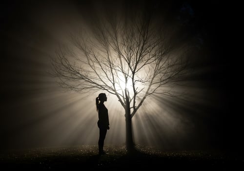 Contemplative silhouette stands near tree, light rays. Spiritual, serene, dark photo