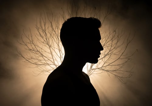 Man's silhouette thinking, framed by branches, in a misty background for art photo