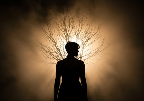 Silhouette woman stands before leafless tree in foggy landscape. Possible art photo