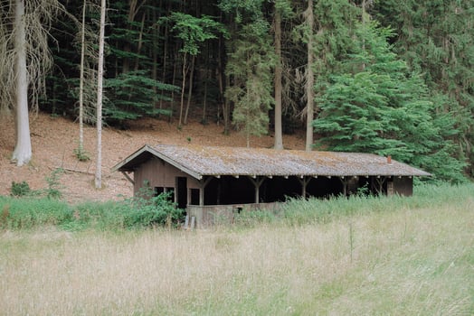 Abandoned Wooden Ground in Forest Clearing photo