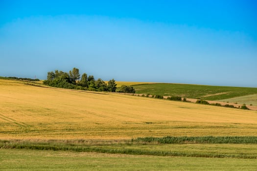 Countryside landscape with sky and fields, real life photo, outoor photo