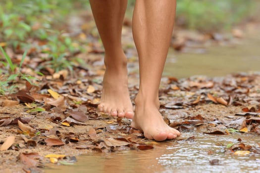 Bare feet walking on wet ground covered with dry leaves in natural outdoor setting, evoking peaceful and earthy feeling photo