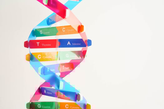DNA molecule spiral structure model isolated on white background, chromosome and gene chemical science biol photo