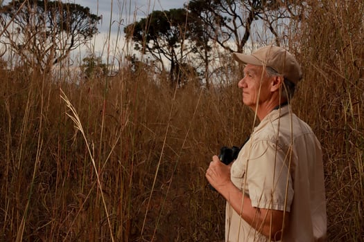 Environment researcher monitoring the environment in a Tall Grassy area using Binoculars in the Savannas of Brazil photo