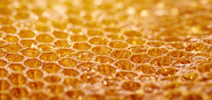 The intricate beauty of honeycomb showcasing nature's craftsmanship and sweetness. photo