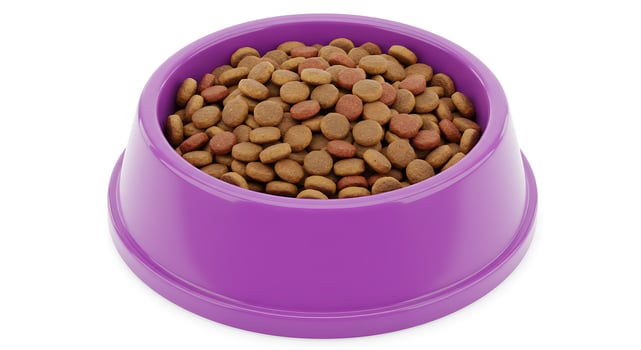 Purple bowl of dog food on white background photo