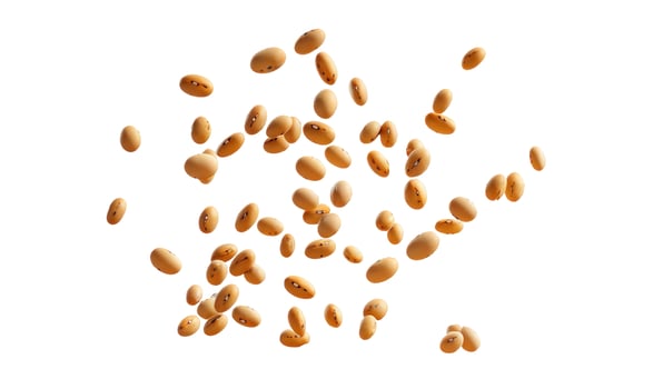 Scattered dry beans overhead isolated on white background photo