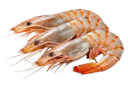 Raw tiger shrimp fresh seafood ingredient ready to cook photo