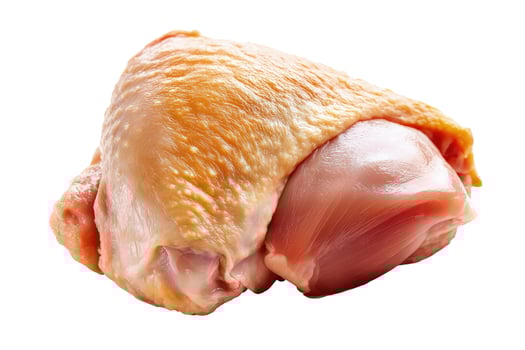Raw chicken thigh isolated on white background ready for cooking photo