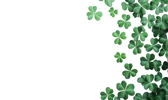Green shamrock leaf background pattern decoration photo