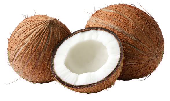 Fresh coconuts still life tropical fruit close up photo