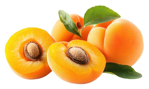 Fresh apricot fruit still life with halves and leaves on white background photo