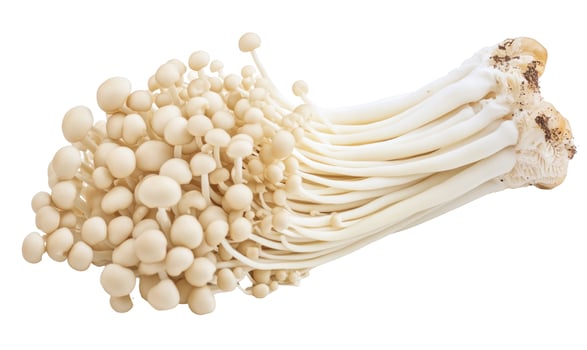 Enoki mushroom cluster food ingredient against white background photo