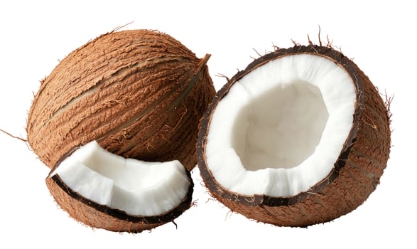 Coconut still life whole halved and piece isolated on white background food photography photo