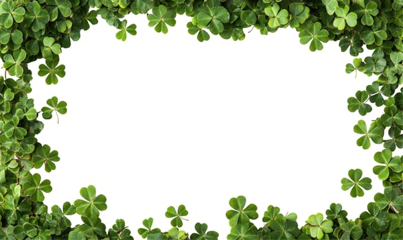 Clover leaves frame with white space fresh green botanical border photo