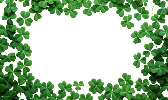 Clover frame border background with copy space natural design photo