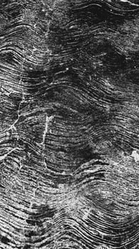 Grey copy space fabric texture. Grunge abstract black and white distressed film noise grain pattern for background. v4 photo