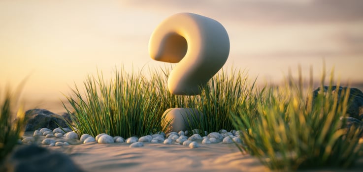 The Question Mark Surrounded by Grass and Stones at Sunset photo