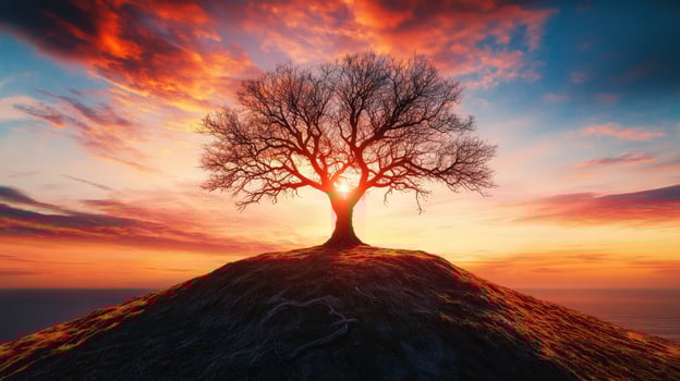 solitary tree stands majestically on hill, silhouetted against vibrant sunset sky. twisted branches create striking contrast with colorful clouds, evoking sense of tranquility and wonder photo