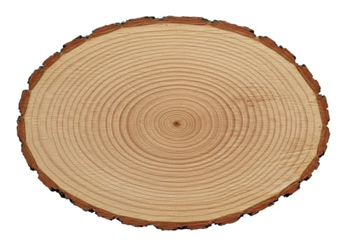 Tree ring wood slice section pattern background texture photo