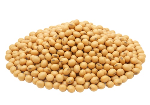 Soybean seed pile healthy ingredient source for asian cuisine photo