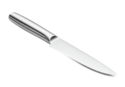 Sleek metal paring knife for culinary food preparation photo