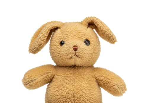 Plush rabbit toy close up studio shot against white background photo