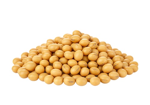 Pile of dry soybeans isolated on white background food ingredient photo