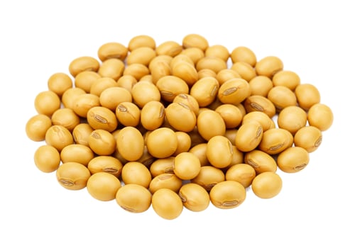 Pile of dry soybeans on white background for culinary and agricultural concepts photo