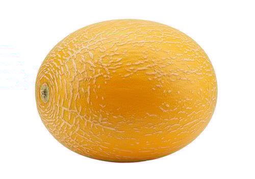 Fresh yellow melon isolated on white background delicious and healthy fruit photo