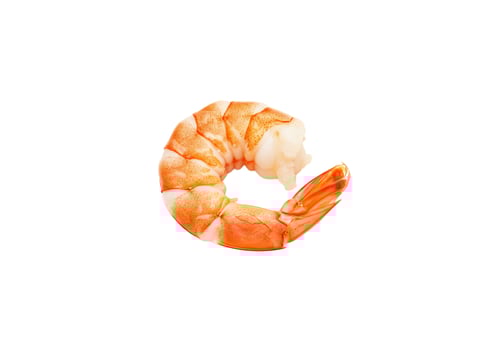Cooked shrimp seafood isolated on white background culinary ingredient photo