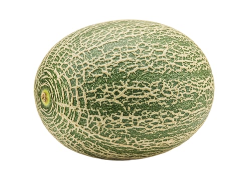 Cantaloupe melon on white backdrop fresh whole fruit photo