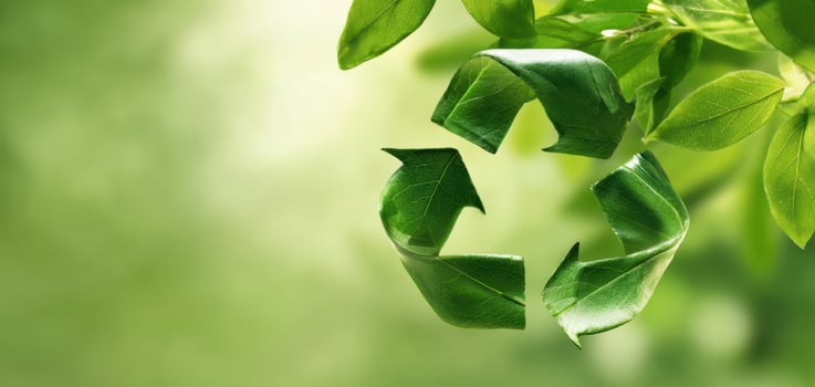 The Green Leaves Creating a Symbol of Recycling and Sustainability photo