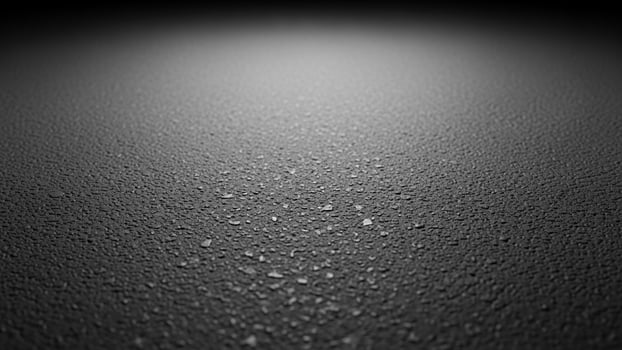 Black and white photo of a wet surface