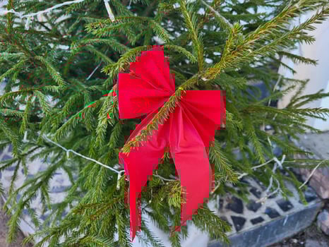 Part of a Christmas tree with a red bow. The concept of Christmas and New Year photo