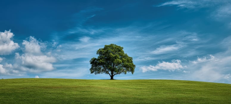 The majestic tree standing alone on a vibrant green hill under a blue sky. photo