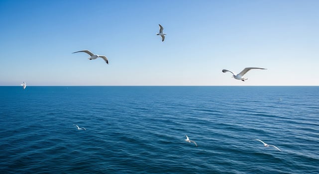 Sea birds flying over the ocean photo