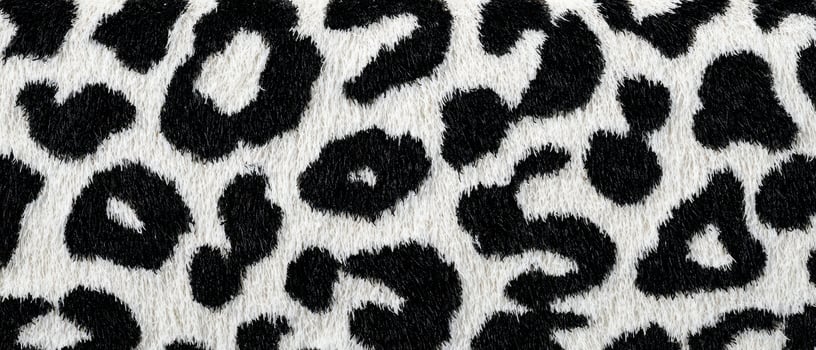 The captivating leopard print pattern in black and white texture design. photo