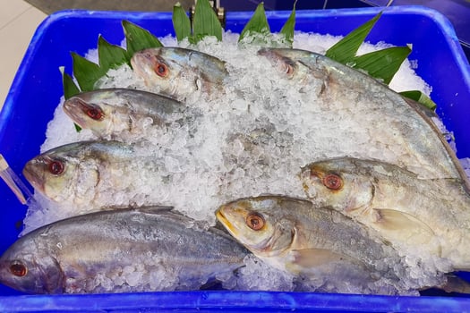 Fresh whole fish artfully arranged on crushed ice with decorative greenery in a supermarket seafood counter. photo