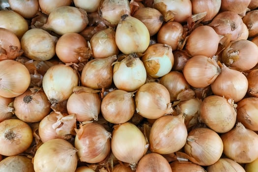 Closeup of golden yellow onions piled in a supermarket produce bin photo