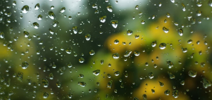 The Beautiful Raindrops on a Window with a Nature Background photo