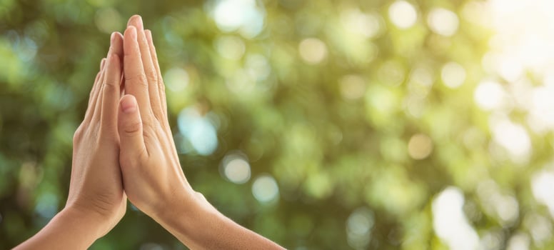 The hands in prayer symbolize peace and connection with nature. photo